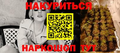 PSILOCYBIN Гусиноозёрск