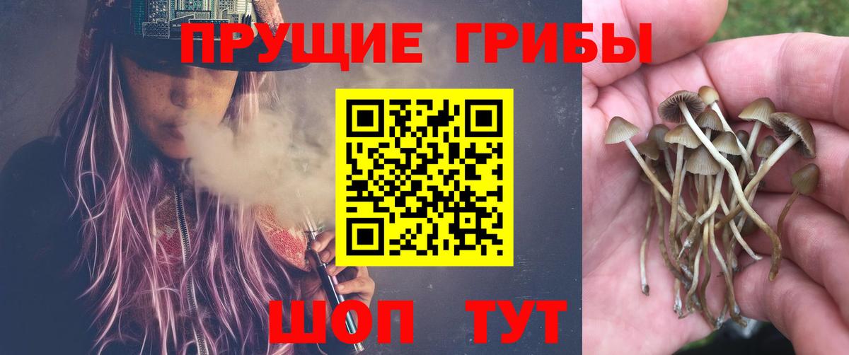Галлюциногенные грибы Psilocybe  Псилоцибиновые грибы Magic Shrooms  Вход с VPN  Мытищи 